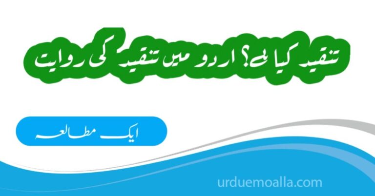 تنقید کیا ہے؟ اردو ادب میں تنقید کا ارتقاء و اولین نقوش