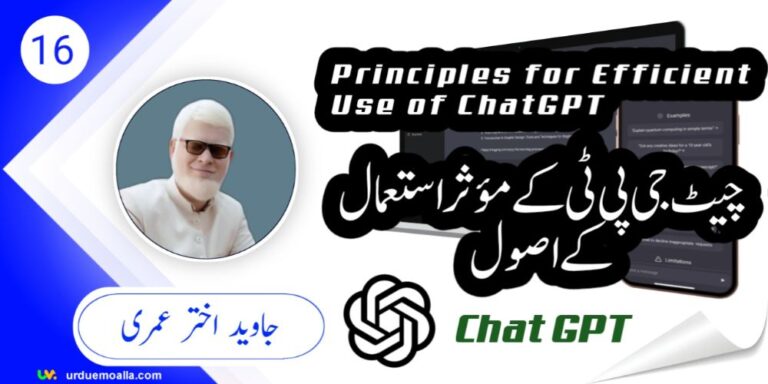 Principles for Efficient Use of ChatGPT